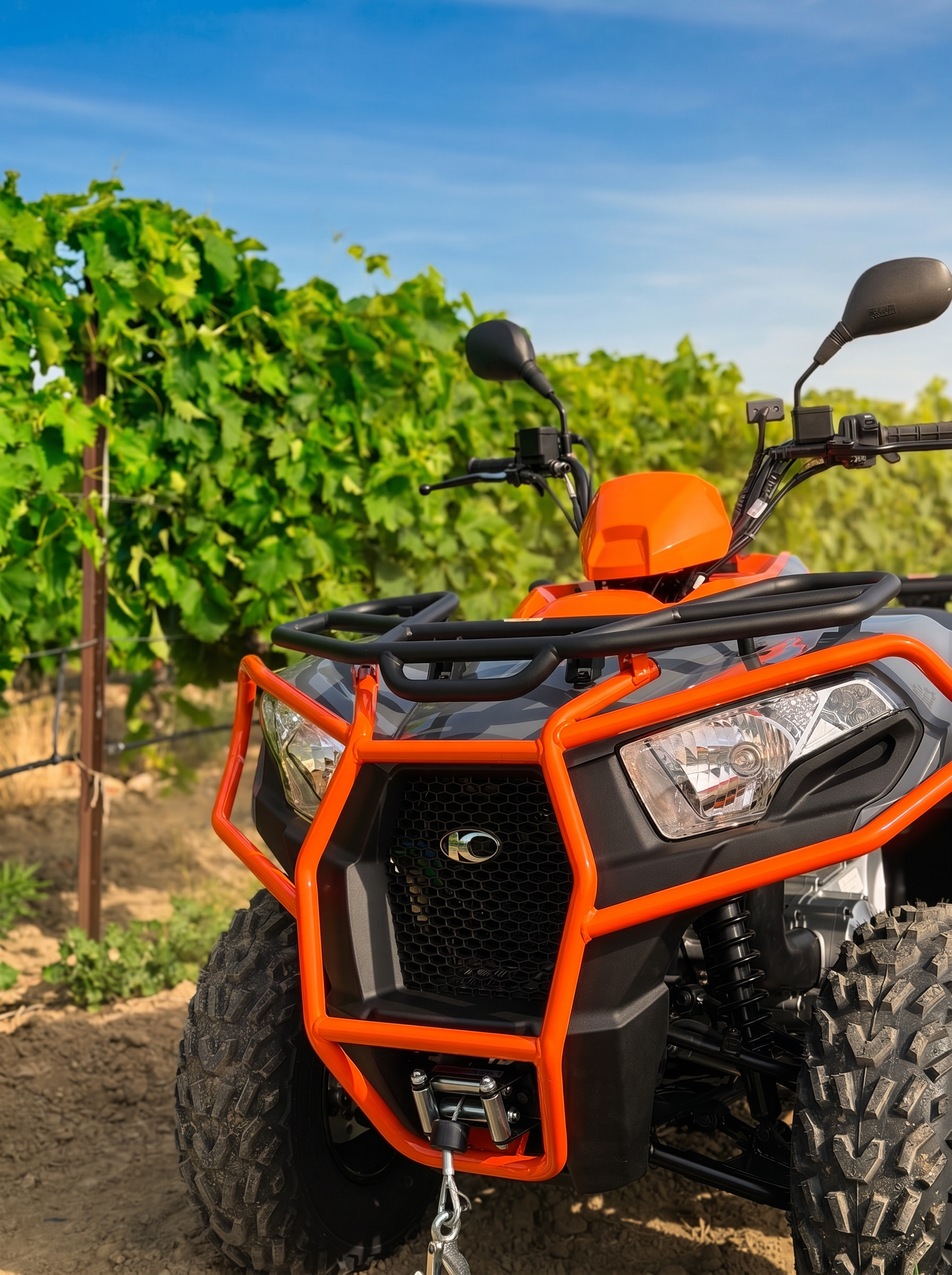 Quad MyQuad Kymco MXU 300 au cœur d'une vigne provençale ensoleillée